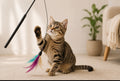 Purrea WhiskerWand - Interactive Feather Cat Toy